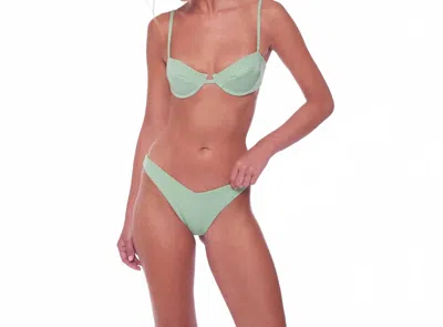 Peixoto Lara Bikini In Green