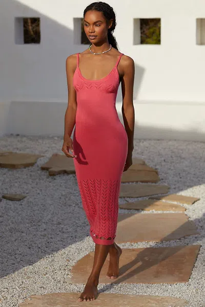 Peixoto Nora Knit Midi Dress In Pink