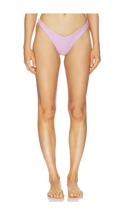 Peixoto Shelley Full Bikini Bottom In Purple