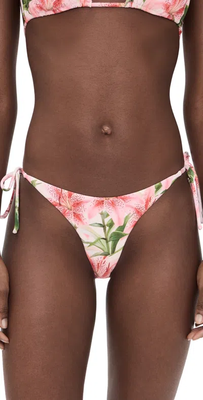 Peixoto Tonie Bikini Bottoms Hawaiian Bloom In Pink