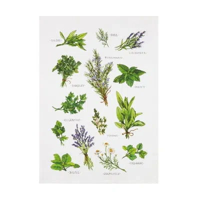 Peking Handicraft Flour Sack Tea Towel In White;green