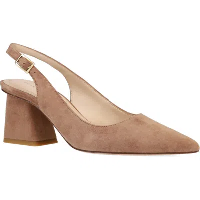 Pelle Moda Florin Slingback Pointed Toe Pump In Brown