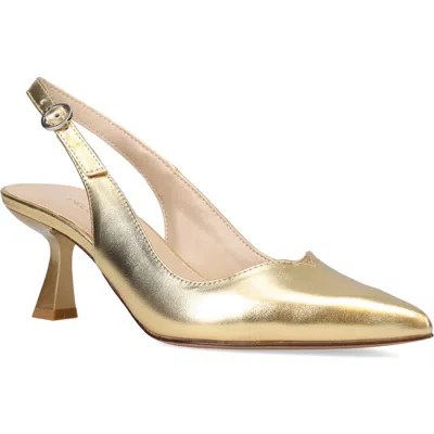 Pelle Moda Janah Slingback Pointed Toe Pump In Gold Leather