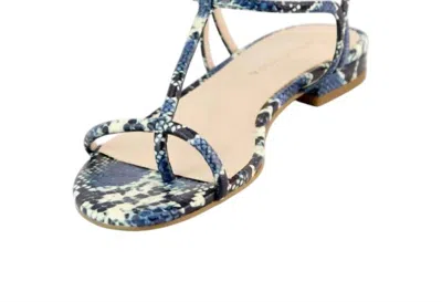 Pelle Moda Women's Barber 2 Flat Sandal In Indigo Snake In Multi