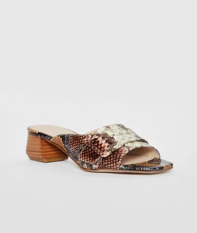 Pelle Moda Women's Tala Embossed Snake Slip On In Brown Minera Embossed Snake In Multi