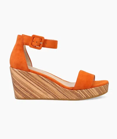 Pelle Moda Women's Witten Wedge In Mandarin Suede In Multi