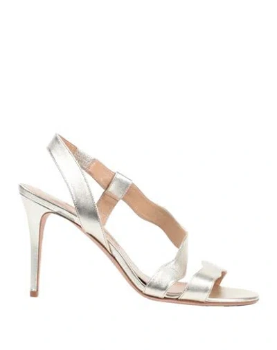 Pellico Woman Sandals Platinum Size 10 Leather In Grey