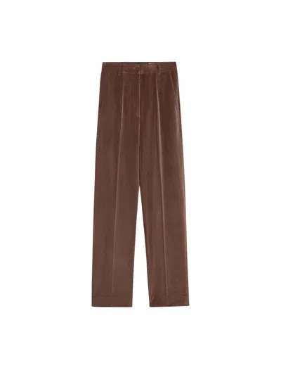 Pence Violet In Brown