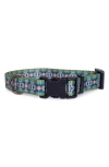 Pendleton Adventure Collar In Blue