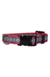 Pendleton Adventure Collar In Red
