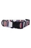 Pendleton Adventure Collar In Multi