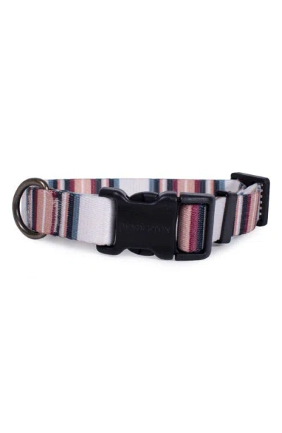 Pendleton Adventure Collar In Multi