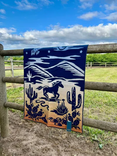 Pendleton Children's Desert Dream Blanket In Multi