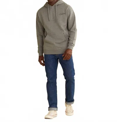 Pendleton Heritage Classic Mountain Graphic Hoodie In Grey In Gray