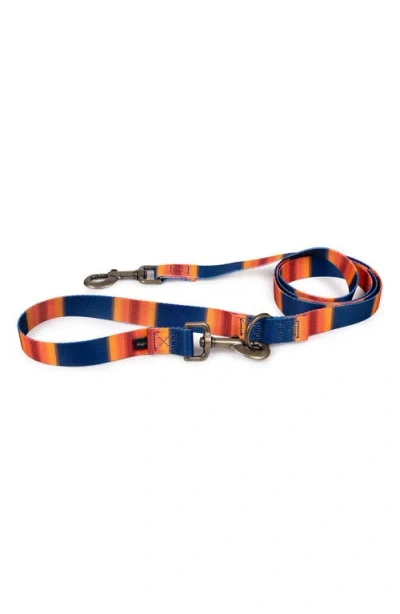 Pendleton National Park Adventure Leash In Multi