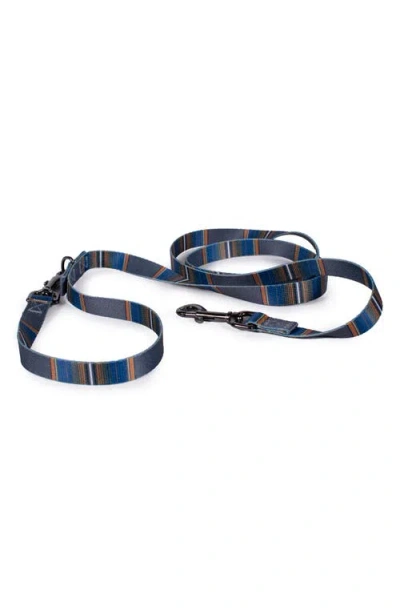 Pendleton National Park Adventure Leash In Blue
