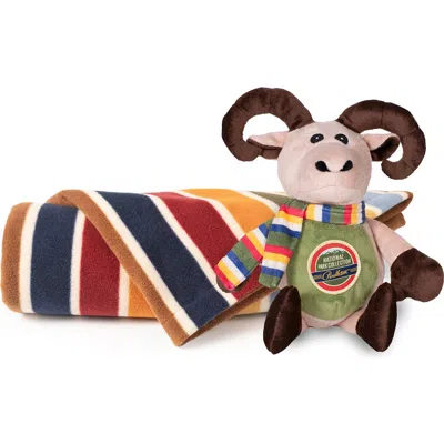 Pendleton National Park Fleece Crate Blanket In Multi