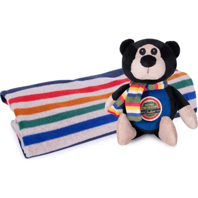 Pendleton National Park Fleece Crate Blanket In Multi