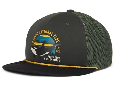 Pendleton National Park Trucker Baseball Caps Olympic Grey: One Size In Gray
