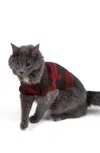 Pendleton Pet Sweater In Multi