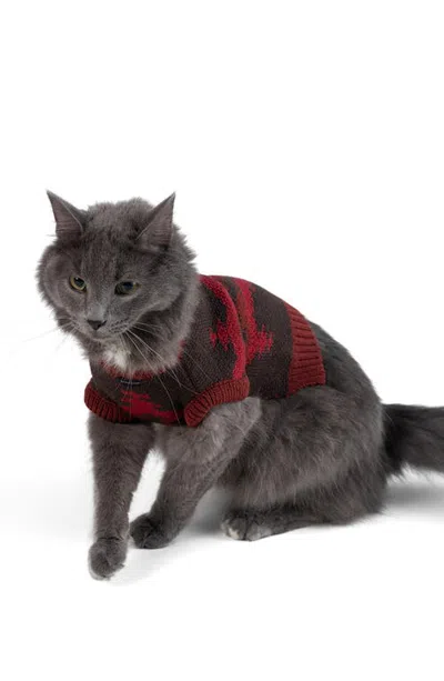 Pendleton Pet Sweater In Crown Point