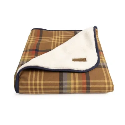 Pendleton Plaid Crate Blanket In Brown