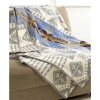 Pendleton Silver Bark Throw In Blue,cream