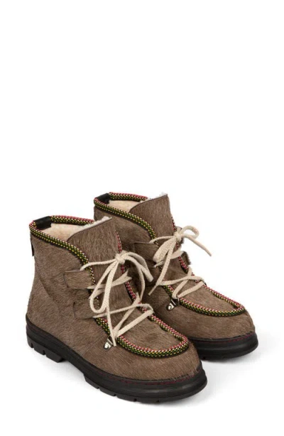 Penelope Chilvers Incredible Genuine Calf Hair Bootie In Brown