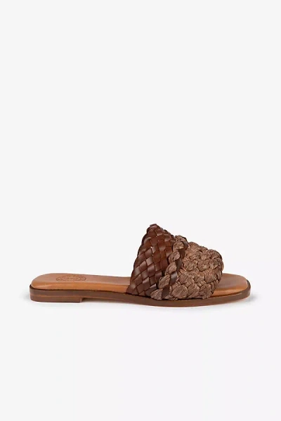 Penelope Chilvers Kalahari Braided Raffia Mules In Beige