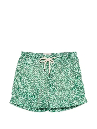 Peninsula Swimwear Filicudi Swim Shorts In Green