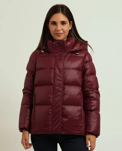 Penny Black Coats In Burgundy