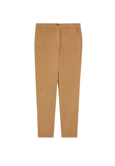 Penny Black Women's Trousers  2611131253200-002 Theme In Brown