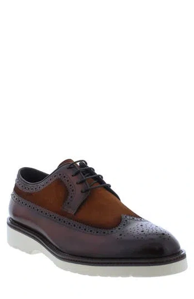 Penny Lane Compton Wingtip Derby In Cognac