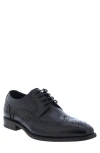 Penny Lane Harley Wingtip Derby In Black