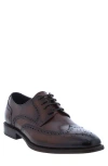 Penny Lane Harley Wingtip Derby In Cognac