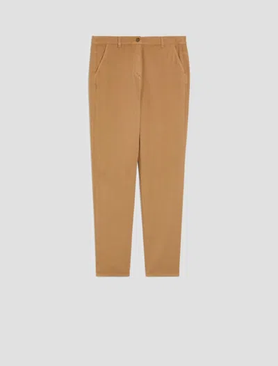 Pennyblack Cotton Piqué Trousers Woman Camel In Orange
