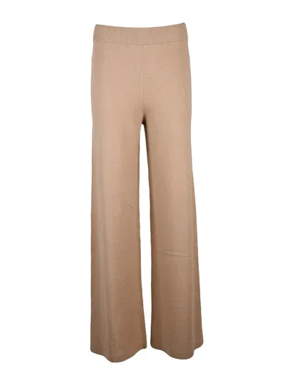 Pennyblack Wide-leg Trousers With High Ribbed Waistband And Fluid Drape In Brown