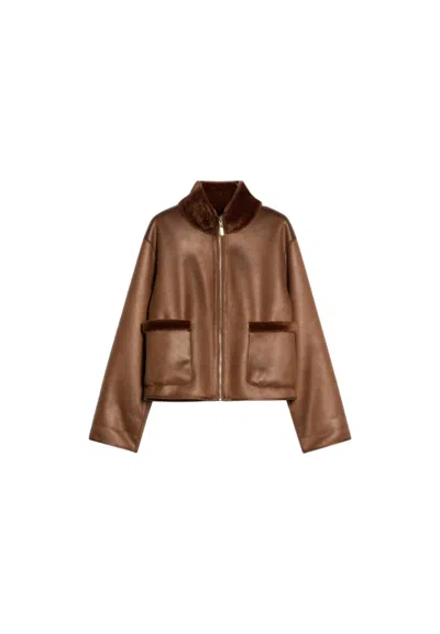 Pennyblack Women's Jacket  Pbb In Brown