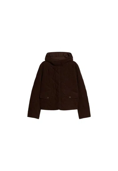 Pennyblack Women's Jacket  Pbbafona In Brown