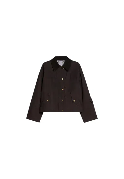 Pennyblack Women's Jacket  Pbbfato In Brown