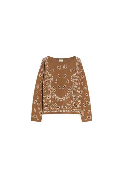 Pennyblack Women's Sweater  Pbbsamba In Brown