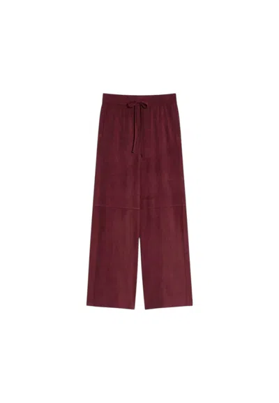 Pennyblack Women's Trousers  Pbjcurvovone In Burgundy