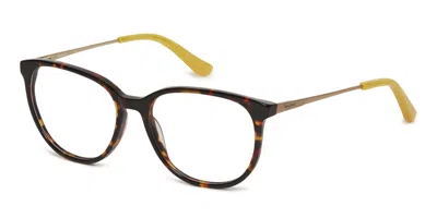 Pepe Jeans Pj3359 Men's Glasses, Tortoiseshell, Size 54 In Brown
