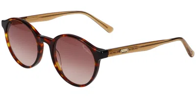 Pepe Jeans Pj7435 010 Women's Sunglasses Tortoiseshell Size 50 In Brown