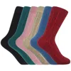Peper Harow - Made In England Cashmere Women's Socks Bundle - Classics In Beige/black/blue/pink/red