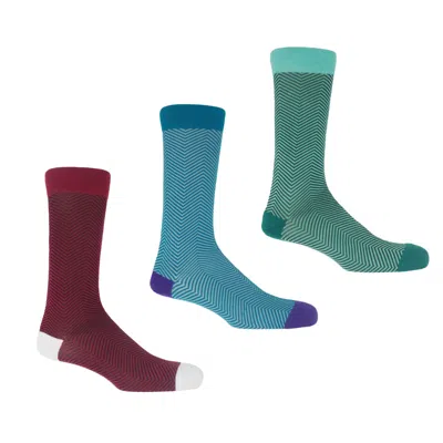 Peper Harow - Made In England Lux Taylor Men's Socks Bundle - Turquoise, Marine & Burgundy In Blue/red