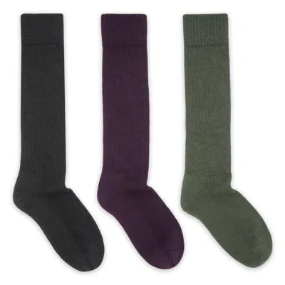 Peper Harow - Made In England Men's Boot Men's Socks Bundle In Black/green/purple