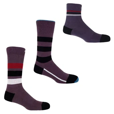 Peper Harow - Made In England Men's Pink / Purple Men's Organic Sports Socks Bundle – Purple In Pink/purple