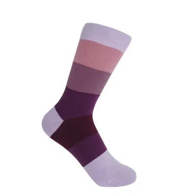 Peper Harow - Made In England Purple Block Stripe Women's Socks – Twilight In Multi