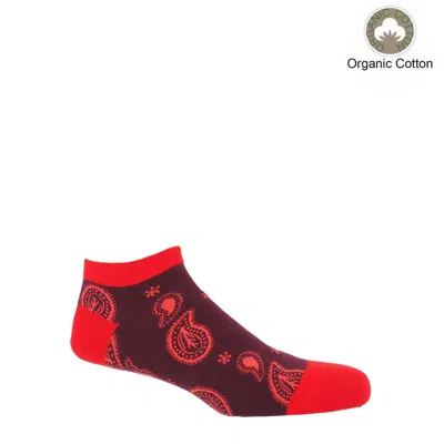 Peper Harow - Made In England Red Paisley Men's Trainer Socks – Burgundy